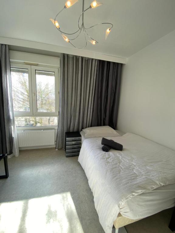 Nancy Hyper Centre, Chambre Prive Chez L'Habitant En Colocation Dış mekan fotoğraf
